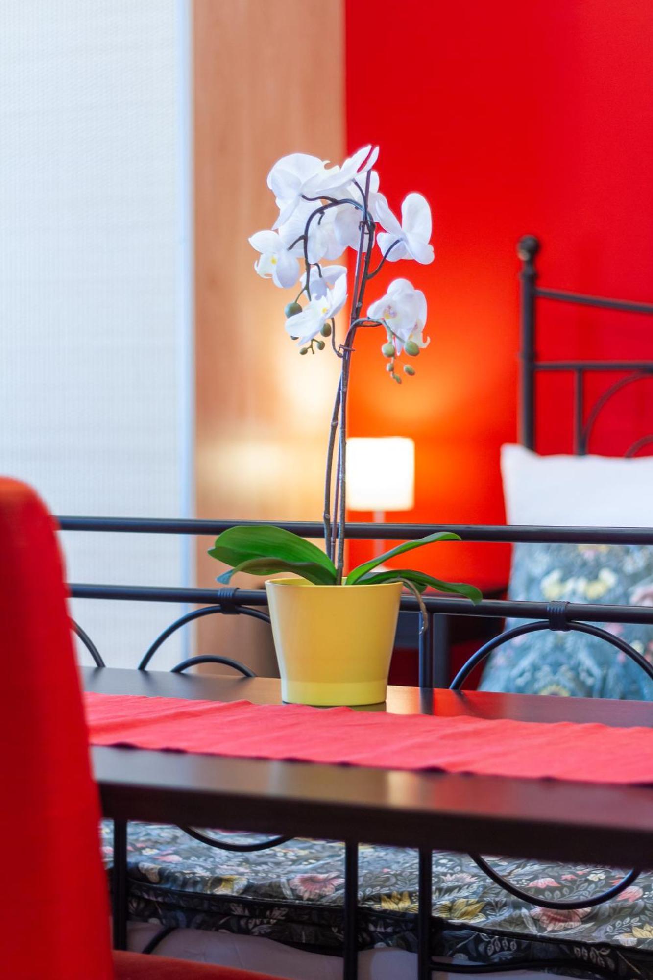 Badepest Apartment Budapest Kültér fotó
